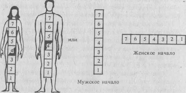 Как женщина так и мужчина каждый имеет семь принципов но четвертый разделен - фото 10