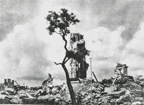 Руины Королевского замка сожженного и разграбленного немецкими оккупантами - фото 37