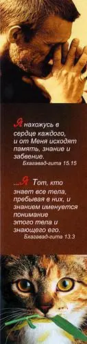 Я нахожусь в сердце каждого и от Меня исходят память знание и забвение - фото 42