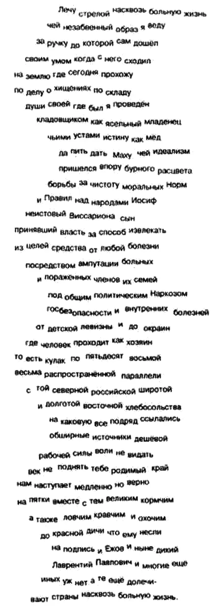 Лечу стрелой насквозь больную жизнь чей незабвенный образ я веду за ручку до - фото 1