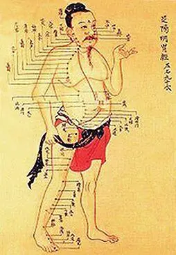Страницы древнекитайской книги Немало полезного внесли в народную медицину в - фото 4
