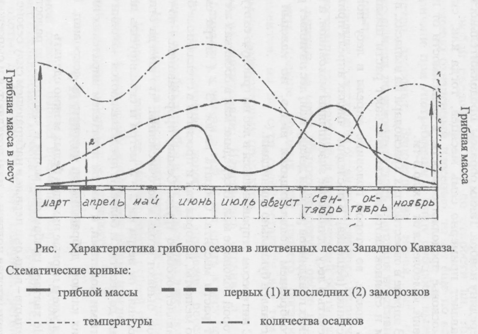 В июне грибной сезон достигает своего первого пика А в июле количество грибной - фото 22