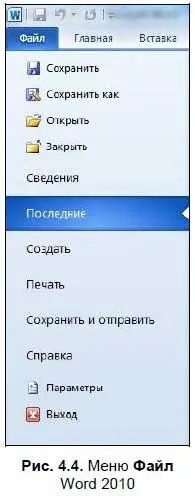 Теперь рассмотрим каждое меню немного подробнее Начнем с меню Word 2007 рис - фото 323