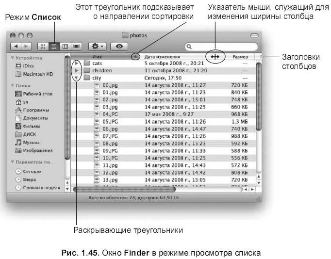 Заголовки столбцов Режим просмотра содержимого СписокList View очень похож - фото 114
