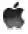 Самоучитель работы на Macintosh - изображение 200