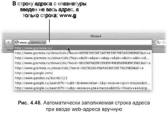 Иногда возникает ситуация когда строка адреса уже заполнена см рис 445 - фото 399