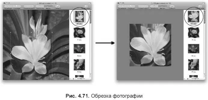 464 Возможности работы с файлами PDF При открытии файла формата PDF на - фото 437