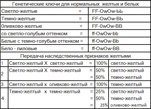 Желтые благодаря своей принадлежности к зеленому ряду доминируют над белыми - фото 93