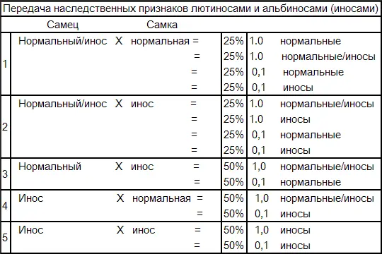 Коричные Эта мутация проявляется множеством мелких коричных меланиновых - фото 101