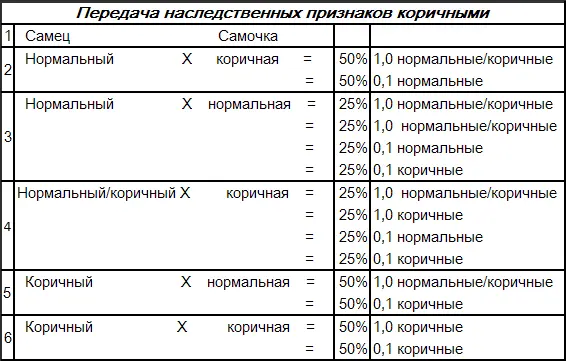 Генетический ключ для 10 коричного в опаловом темносером и желтолицем мутации - фото 104