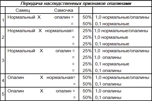 Так же как иносы и коричные вышитые передают свои наследственные признаки в - фото 106