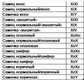 Факторы обусловливающие окрас оперения волнистого попугая Передача по - фото 69