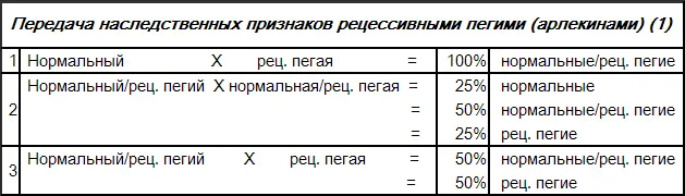 Наследственные признаки арлекинов рецессивны см таблицу 1 Когда рецессивных - фото 109