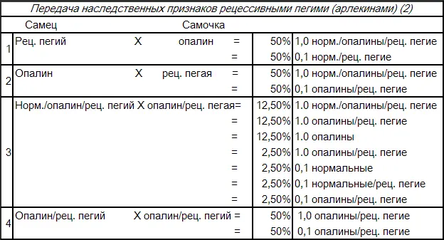 Австралийские доминантные пегие В 1935 году в Сиднее на выставке птиц - фото 110