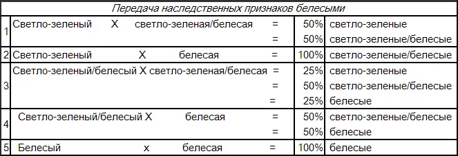 Белесые обеих мутаций по величине такие же птички как живущие на воле дикие - фото 116