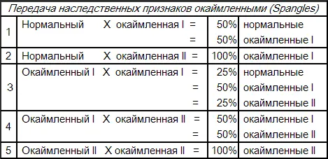 Окаймленная нормальная серозеленая самочка Оседланные Эти птицы со спиной - фото 118