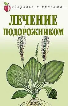 Екатерина Андреева - Лечение подорожником