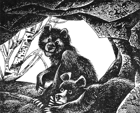 Морда Каллик вдруг стала расплываться перед глазами Лусы Когда она снова - фото 8