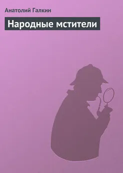 Анатолий Галкин - Народные мстители