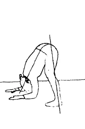 Упражнение Креветочка спина прямая стопы параллельно ноги расставляем как - фото 25