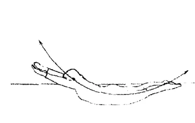 Упражнение Лодочка ложимся на пол сильно растягиваем тело Руки тянутся - фото 31