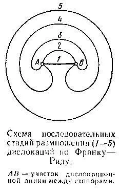 Вот теперь можно поговорить о конкретном механизме размножения Об одном из - фото 62