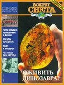  Журнал «Вокруг Света» - Вокруг Света 1996 №05
