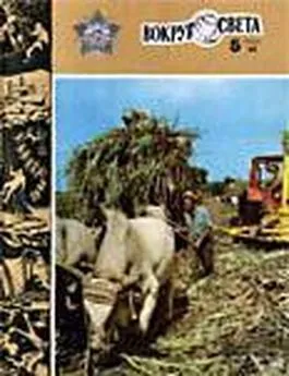  Вокруг Света - Журнал «Вокруг Света» №05 за 1984 год