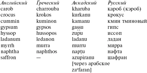 Что касается слов других классов которые пришли из аккадского или шумерского - фото 40