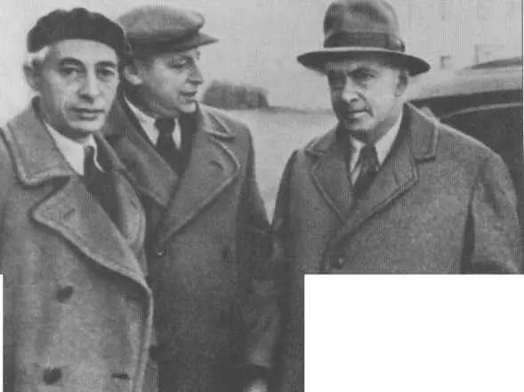 Н Никитин Е Шварц Е Полонская и О Форш в Доме творчества Комарово - фото 34