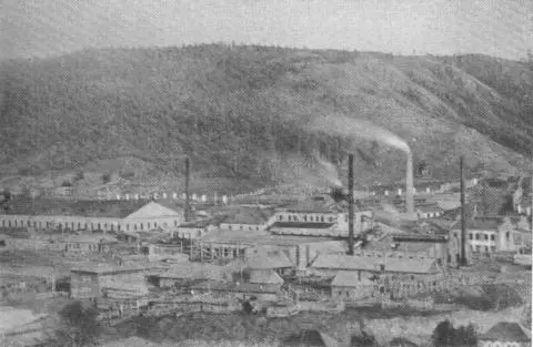 Общий вид Гурьевского завода 1925 г Удостоверение выданное Себальду - фото 34