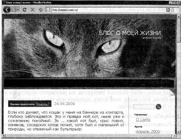 Рис 36Пример блогажизнеописания Тему блога нужно связать с тем что всегда - фото 107