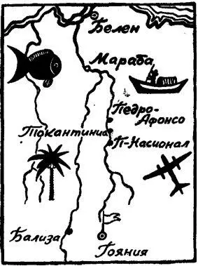 5 декабря 1963 года на площади Бандейрантес в столице штата Гояс городе Гоянии - фото 3