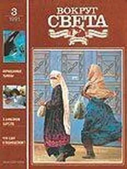  Вокруг Света - Журнал «Вокруг Света» №03 за 1991 год