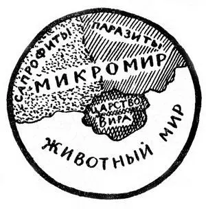 Такая весомость микромира невольно наводит на размышления о его роли в нашей - фото 113