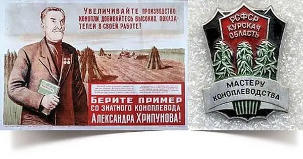 А сегодня наркотическая история конопли практически превратила этот продукт в - фото 112