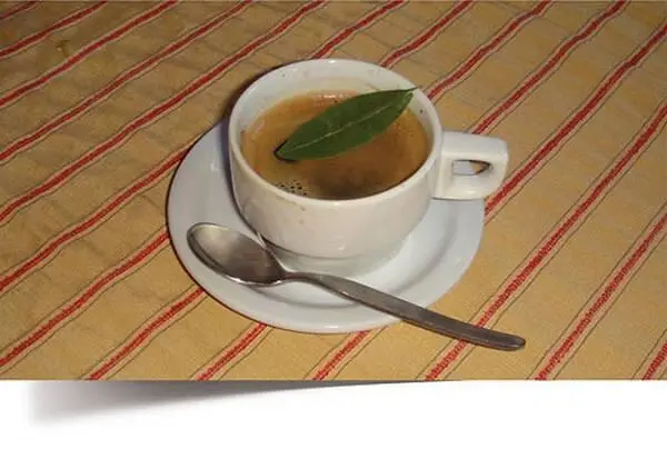 Шансы попробовать Inca Coffee в Украине близки к нулю листья коки - фото 250