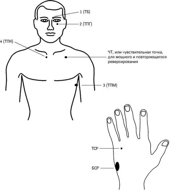 Рис 22Спортивные показатели Табл 20 Последовательность биологически - фото 24