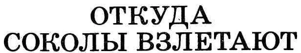 Николай Галкин СОКОЛ ИЗ ПОДЗЕМЕЛЬЯ ХУДОЖЕСТВЕННОДОКУМЕНТАЛЬНАЯ ПОВЕСТЬ - фото 3