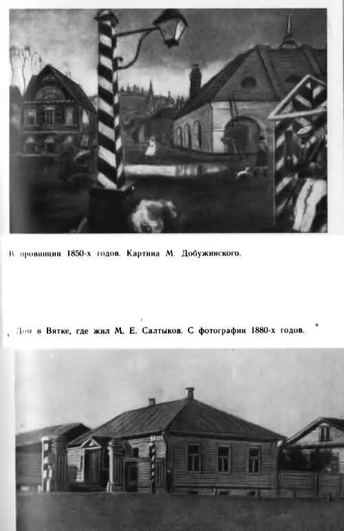 СалтыковЩедрин - фото 4