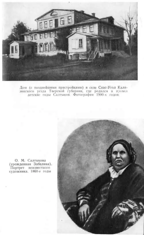 СалтыковЩедрин - фото 13