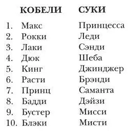 Для меня большим сюрпризом стало что имя Снуппи собака из известного комикса - фото 1