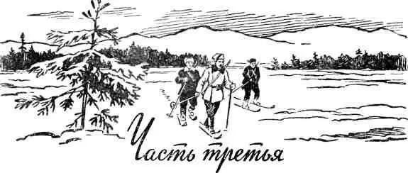 ИЗ ОГНЯ ДА В ПОЛЫМЯ В декабре 1918 года обстановка на участке 3й армии была - фото 14