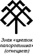 ДОМАШНЯЯ ВСЕЛЕННАЯ Наружные охранные узоры Наши языческие предки вовсе не - фото 96