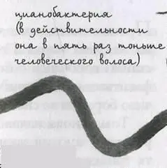 Прошло время и океан больше не мог вбирать и скапливать кислород выработанный - фото 88