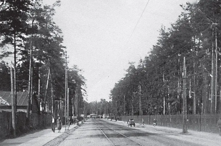Дорога в Сосновику ныне Политехническая улица Фото начала 1930х годов - фото 126