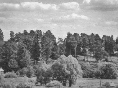 Глебово Фотография автора 2009 Речка Маглуша Фотография автора 2010 - фото 61