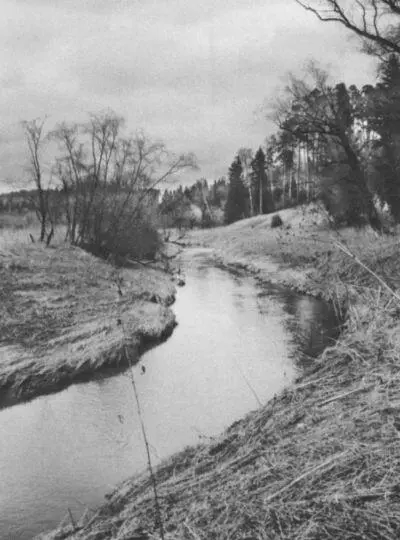 Речка Маглуша Фотография автора 2010 Письмо графа Ф И Толстого князю В - фото 62