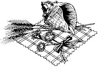 В последней главе этой книги собраны всевозможные варианты декорирования - фото 93