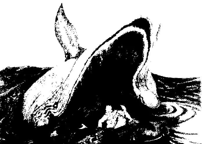 Кит проглатывающий моряка На этой картинке нарисован кит Он проглатывает - фото 3
